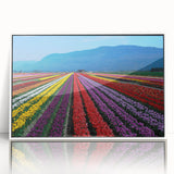 Acrylic print of British Columbia scenery in muted earth tones, framed in white, suited for modern art wall decor.