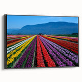 Black and white framed canvas of a British Columbia landscape, ideal for bedroom wall decor.