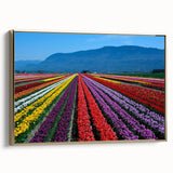 Framed canvas of a British Columbia landscape in muted earth tones, ideal for bedroom wall art.