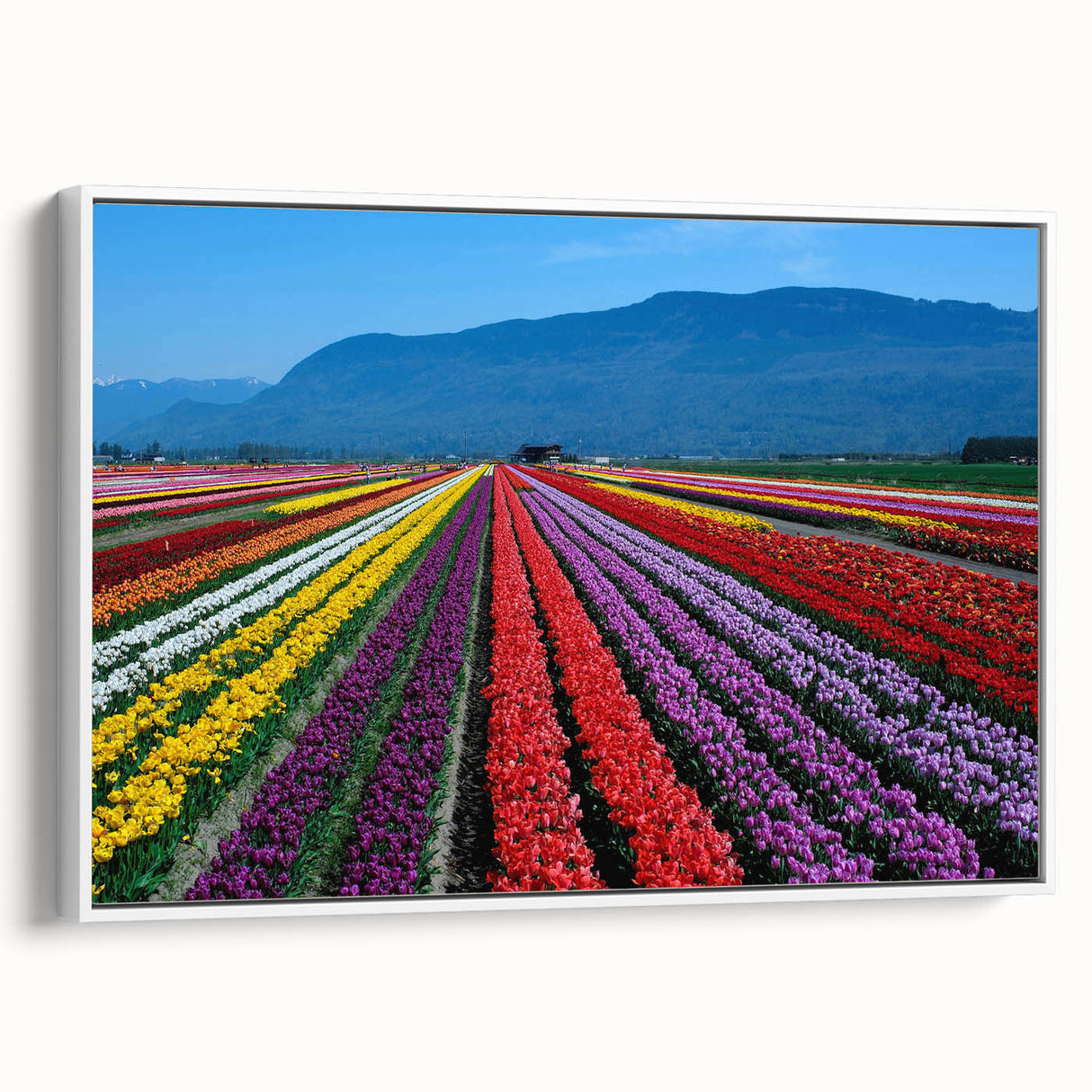 Vintage poster art of British Columbia scenery on framed canvas, featuring vibrant colors, ideal for living room decor.