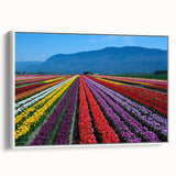 Vintage poster art of British Columbia scenery on framed canvas, featuring vibrant colors, ideal for living room decor.