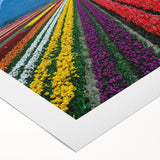 Art deco poster of British Columbia scenery on rolled canvas, in muted green and blue tones, suitable for dining room decor.