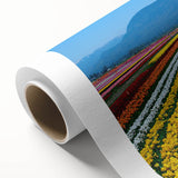 Art deco poster of British Columbia scenery in muted green and blue tones on rolled canvas, ideal for nursery wall art.