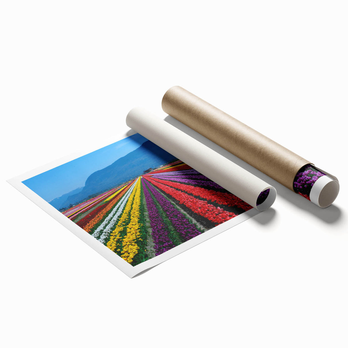 Extra large rolled print of British Columbia scenery in soft pastel shades, ideal for classy bathroom wall art.