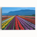 Monochrome forest landscape on stretched canvas, ideal for kitchen wall art.