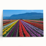 Black and white photograph of British Columbia scenery on stretched canvas, ideal for kitchen wall art or bedroom.