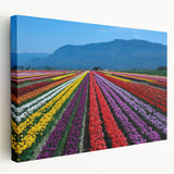 Landscape art of British Columbia on large stretched canvas with lush green and blue tones, ideal for kitchen wall art.