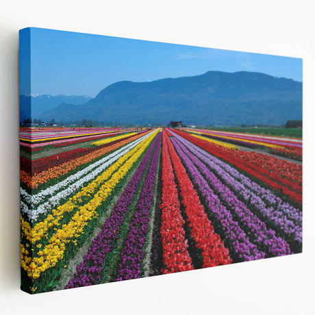 Landscape art of British Columbia on large stretched canvas with lush green and blue tones, ideal for kitchen wall art.