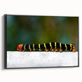 Black and white framed canvas depicting a vintage Martinique landscape, ideal for bedroom wall art.