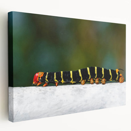 Large canvas print of a Caribbean Martinique scenery in vivid blue and green tones, ideal for kitchen wall art.