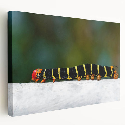 Large canvas print of a Caribbean Martinique scenery in vivid blue and green tones, ideal for kitchen wall art.
