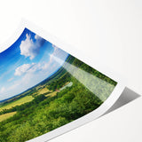 Extra large rolled print featuring line art flowers in muted colors, ideal for large living room wall art.