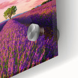 Large abstract wall art of Provence, France scenery in mid-century modernist style on acrylic glass.