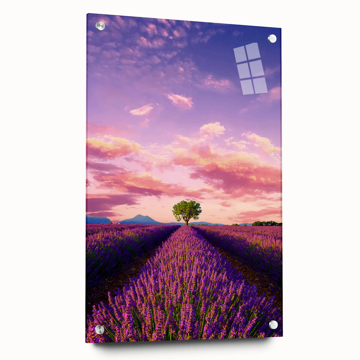 Acrylic glass print of a Provence, France landscape in muted earth tones, ideal for dining room decor.