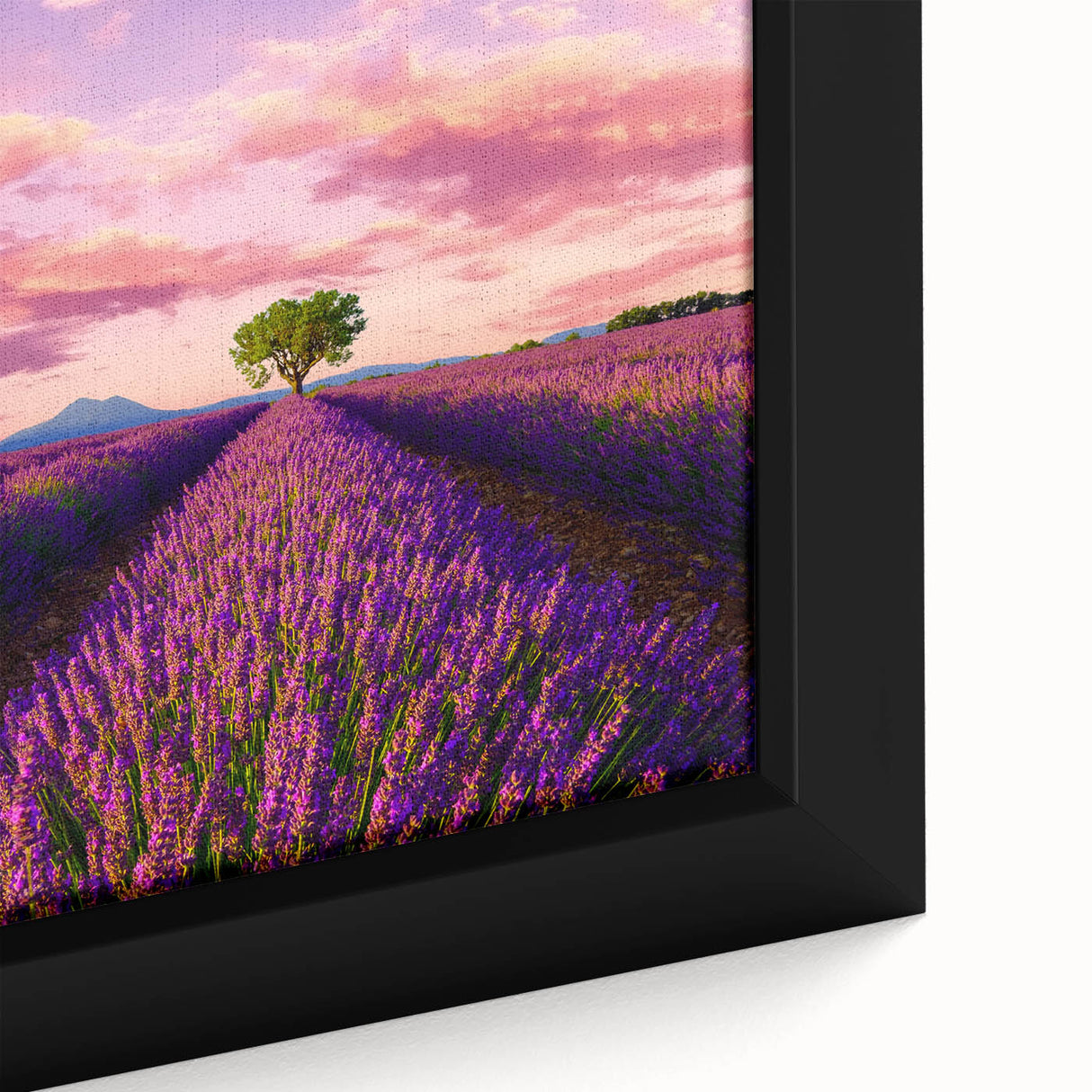 Extra large framed canvas featuring a textured depiction of a Provencal landscape in black with colorful accents.