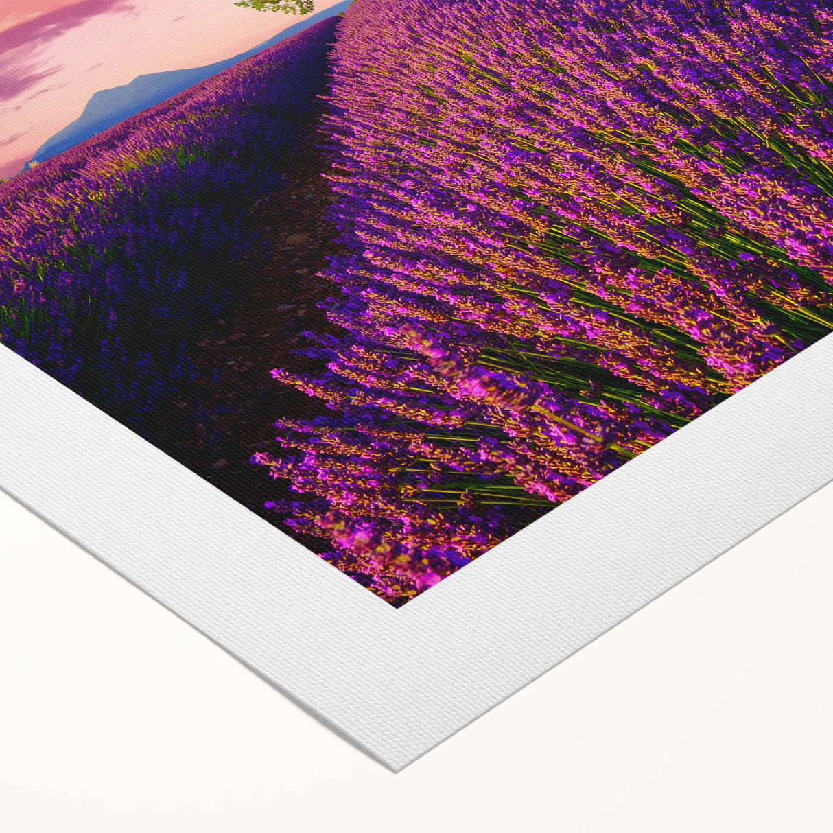 Art deco poster of Provence landscape in muted earth tones on rolled canvas, ideal for dining room wall art.