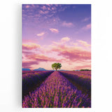 Black and white wall art of Provence scenery on stretched canvas, ideal for kitchen or bedroom decor.