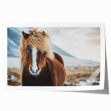 Extra large rolled print depicting a serene Icelandic landscape in muted green and blue tones.