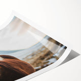 Extra large wall art featuring line art flowers in soft pastel shades on a rolled print.