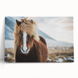 Large black and white photo of Iceland scenery on stretched canvas, ideal for kitchen wall art.