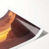 Extra large rolled print featuring line art flowers in muted earth tones, ideal for large living room wall art.