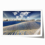 Extra large rolled print of a vibrant floral scene set in Ukraine, ideal for art wall dining room.