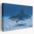 Scenic Quintana Roo landscape on stretched canvas, featuring vivid green and blue tones, ideal for kitchen wall art.