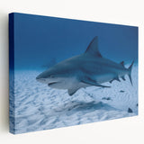 Scenic Quintana Roo landscape on stretched canvas, featuring vivid green and blue tones, ideal for kitchen wall art.