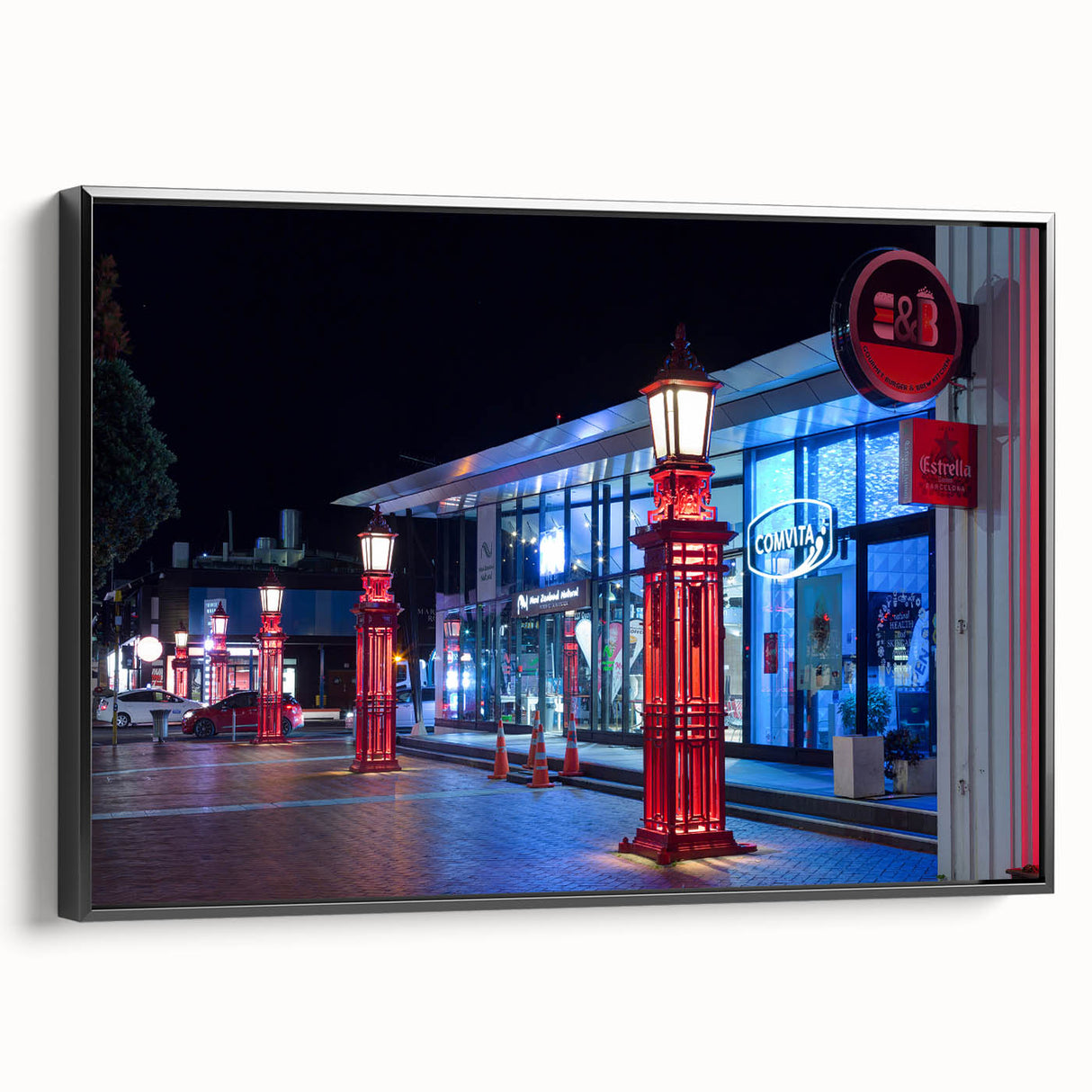 Black and white framed canvas of Auckland landscape, ideal for bedroom wall art.
