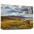 Acrylic glass print of a South American Chilean landscape in rich earth tones, ideal for dining room decor.