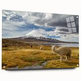 Acrylic glass print of a South American Chilean landscape in rich earth tones, ideal for dining room decor.