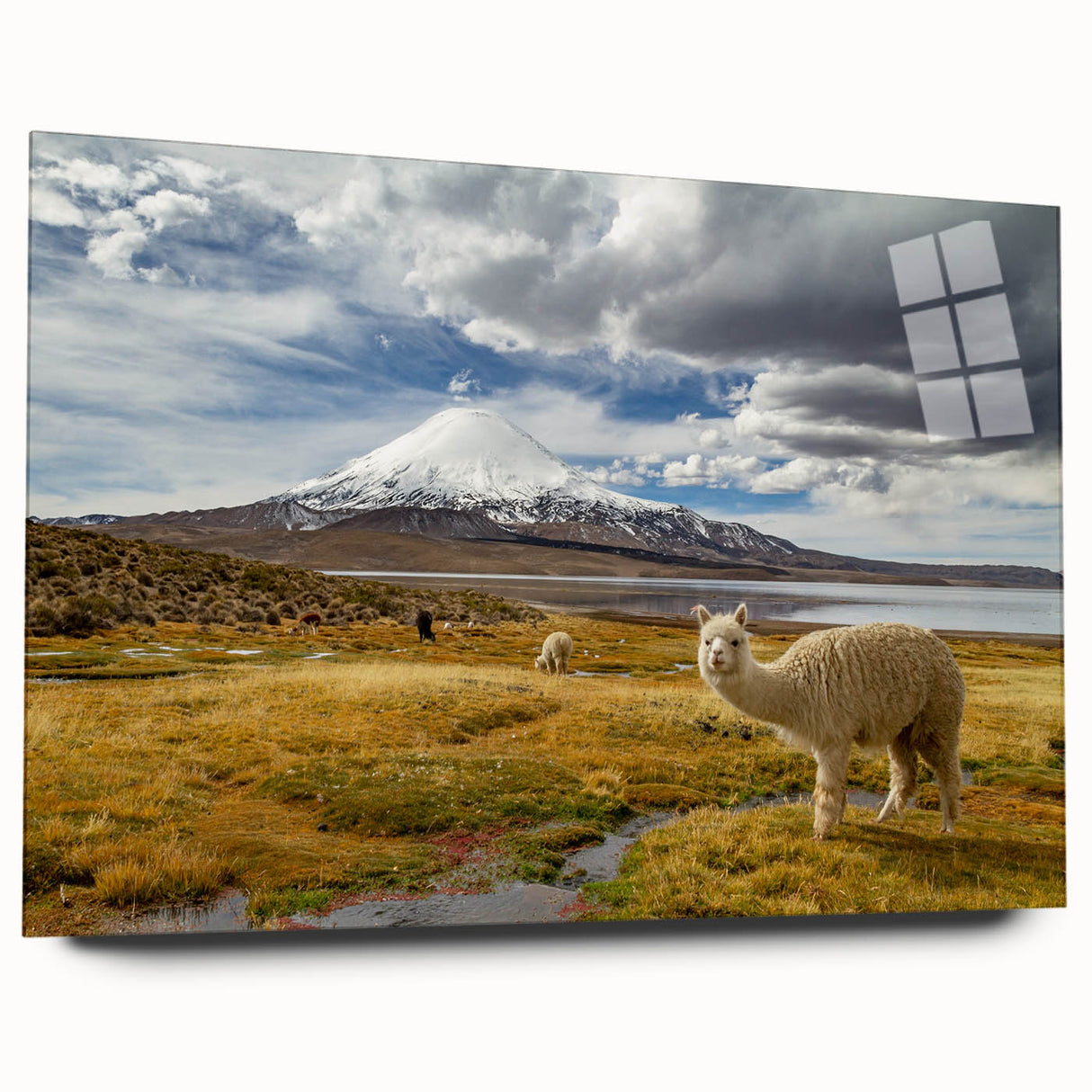 Large abstract wall art of a Chilean landscape in muted earth tones on acrylic glass, ideal for bedroom or dining room decor.