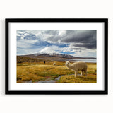 Extra large abstract art print of a colorful, textured Chilean landscape on a framed canvas, ideal for living room decor.