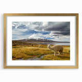 Extra large framed abstract art print of a textured Chilean landscape in gold tones, ideal for living room decor.