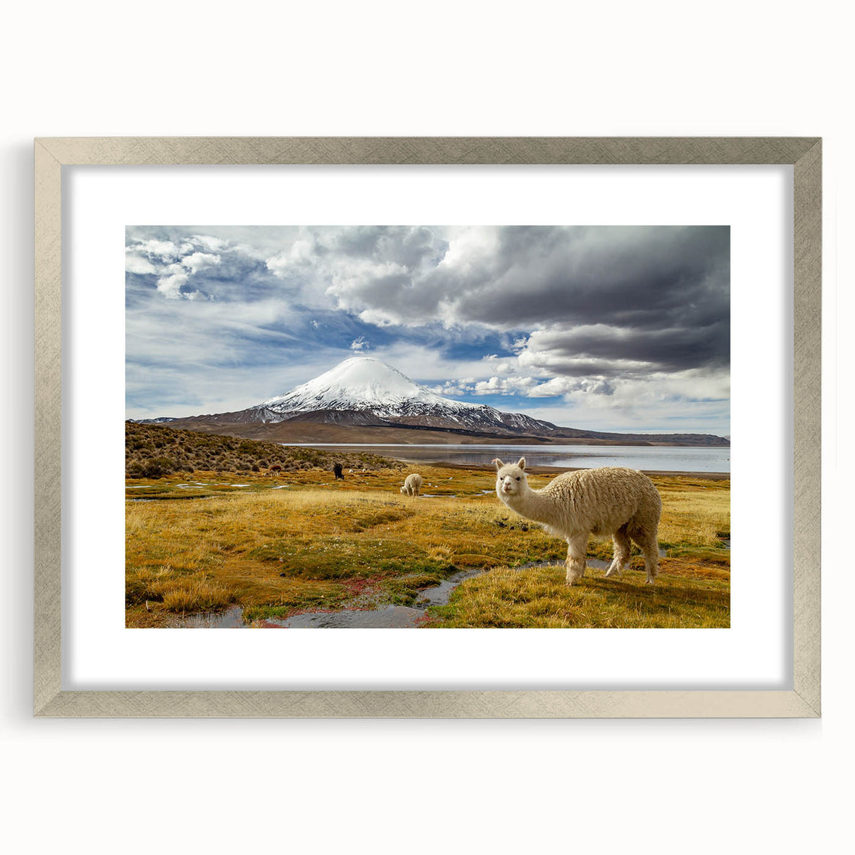 Textured abstract art print depicting a Chilean landscape in earthy tones on a framed silver mat, suitable for bedroom decor.