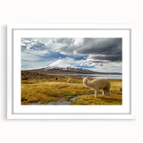 Abstract art print of a Chilean landscape in muted earth tones on a white-framed canvas.
