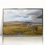 Mid-century modernist art depicting the Chilean landscape in muted earth tones on a framed acrylic print.