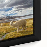 Extra large framed canvas featuring a textured black wall art scene of a Chilean landscape with colorful accents.