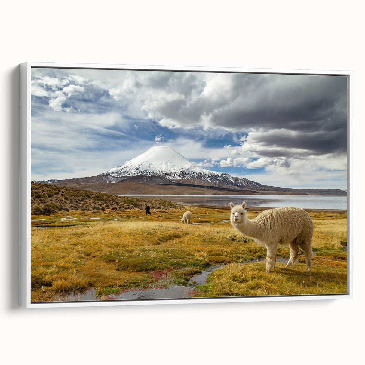Vintage poster art of a South American Chilean landscape on a white framed canvas, featuring a colorful palette.