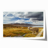 Extra large rolled print of a serene Chilean landscape with lush greenery and distant mountains.