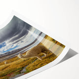 Extra large wall art featuring line art flowers in soft pastel shades on a rolled canvas, ideal for large living room decor.