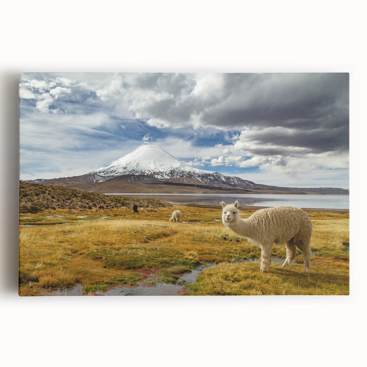 Black and white stretched canvas featuring a panoramic view of Chilean landscape, ideal for kitchen wall art.
