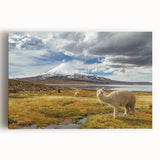 Black and white stretched canvas featuring a panoramic view of Chilean landscape, ideal for kitchen wall art.