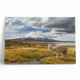 Black and white stretched canvas of a Chilean landscape, ideal for kitchen wall art or bedroom ambiance.