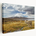 Stretched canvas depicting a vivid sunset over the Chilean landscape, ideal for kitchen wall art.