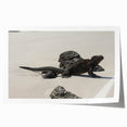 Extra large rolled print featuring a scenic view of the Galapagos with vivid blue and green tones.