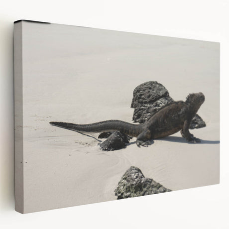 Large art print of Galapagos landscape on stretched canvas, featuring lush greenery and vibrant blues.