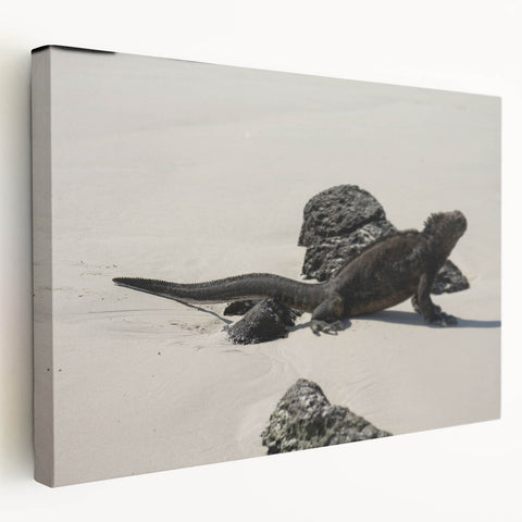 Large art print of Galapagos landscape on stretched canvas, featuring lush greenery and vibrant blues.