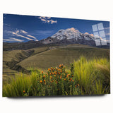 Large abstract wall art of a South American scenery in vibrant earth tones on acrylic glass.
