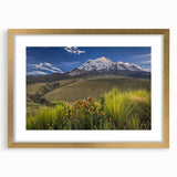 Extra large abstract art print of South American scenery in textured style, with gold frame, ideal for living room decor.